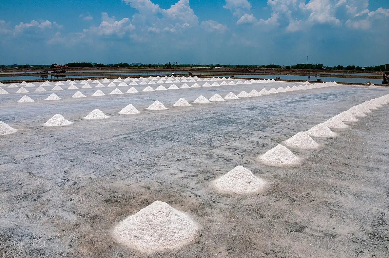 Geometric salt pans with raked mounds of drying sea salt