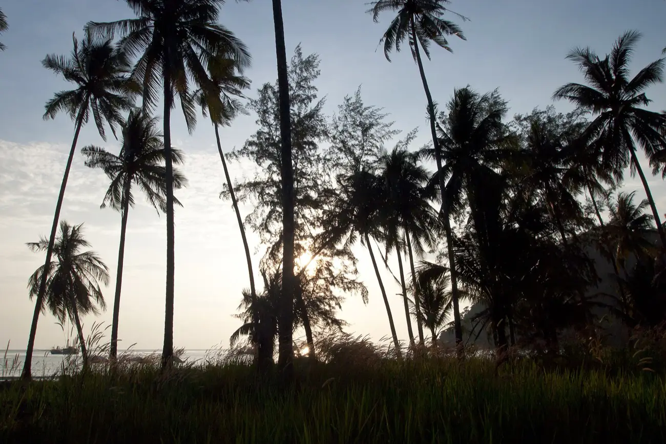 Palms leaning over an empty beach on Ko Kut in the eastern Gulf