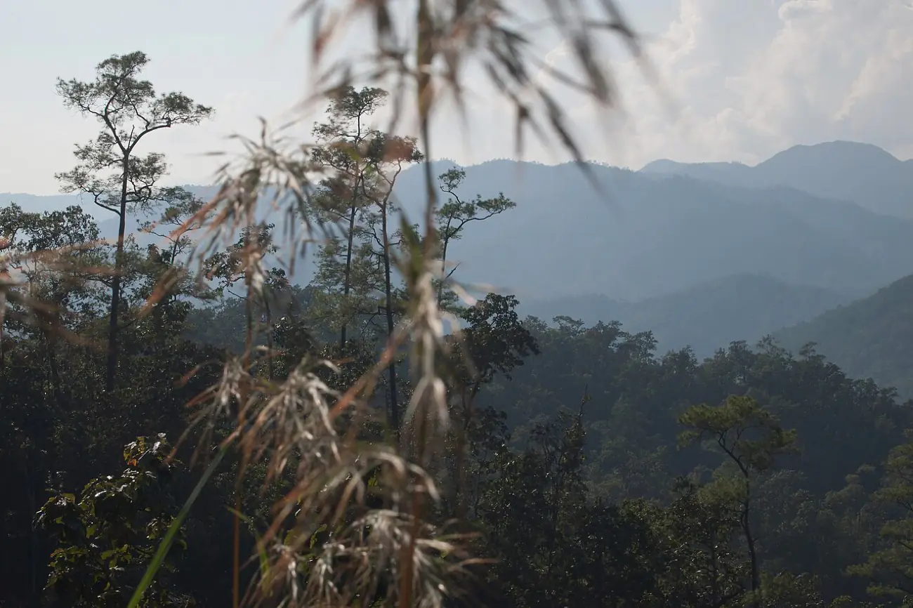 Forested ridges and tall grass on the hill road in Mae Hong Son